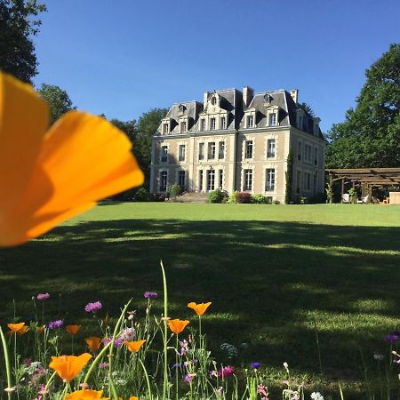 Chateau Des Essards Avec Piscine Et Jacuzzi Langeais Exterior photo